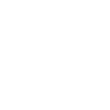 money pig